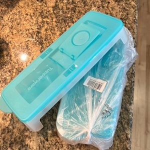 Set of 2 Tupperware ice cube trays